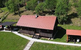 Tradicionalna Zagorska Drvena Kuca Stara Murva